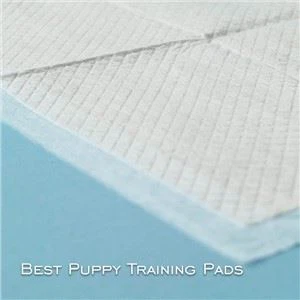 Padiau Hyfforddi Anifeiliaid Anwes a Chŵn Bach; Mwy trwchus a mwy